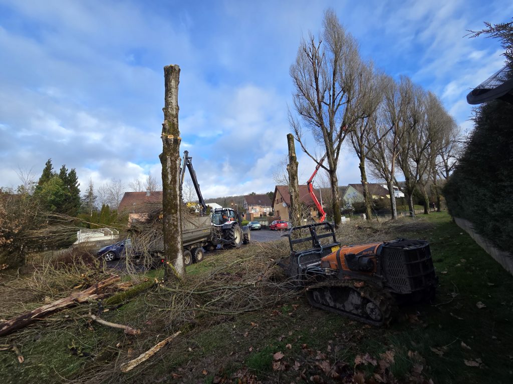 abattage par démontage