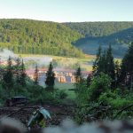 broyage avant plantation
