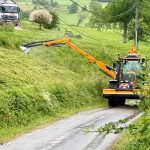 fauchage au rotor herbe 2