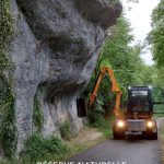 fauchage au rotor herbe 4